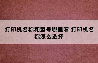 打印机名称和型号哪里看 打印机名称怎么选择